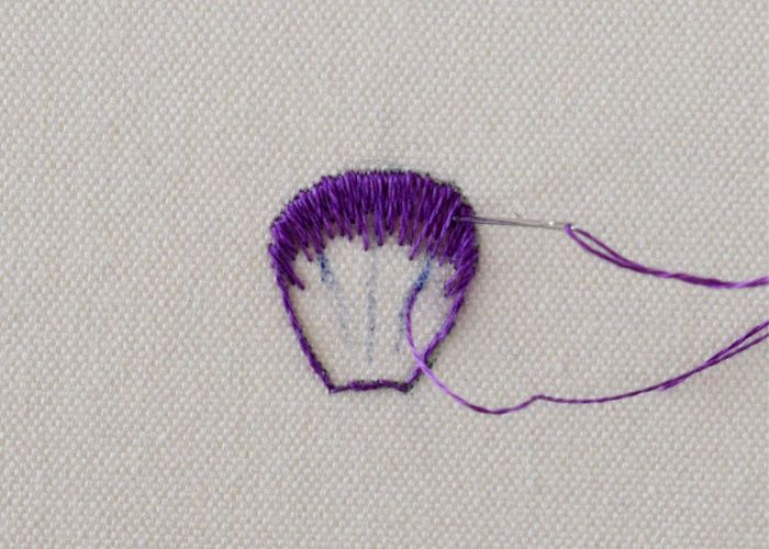 Long and Short stitch step 4 - second row guiding stitches